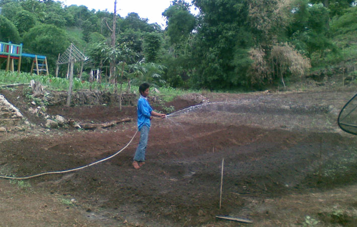 man watering the garden