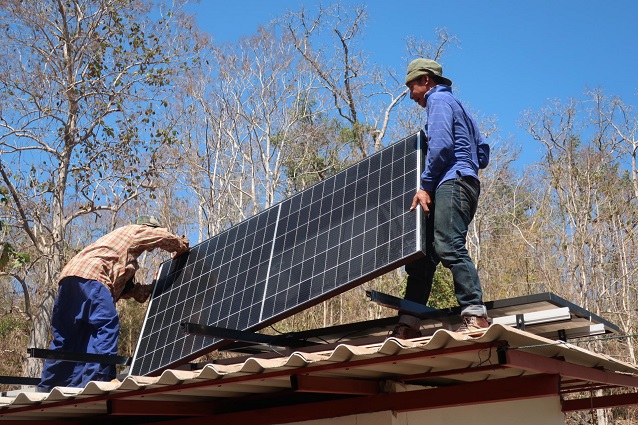 general view of the vegetable garden